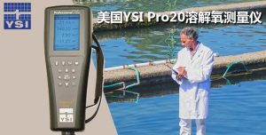 美国维赛YSI Pro20溶解氧测量仪
